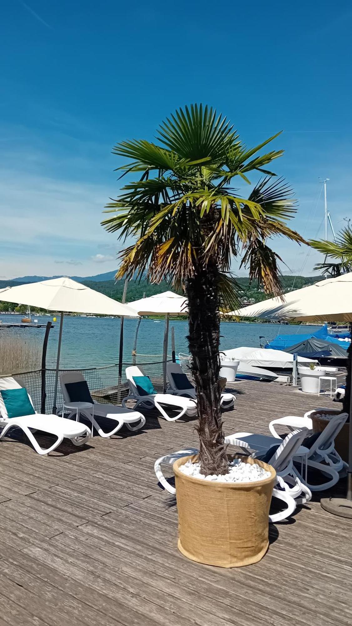 Tennis & Yacht Hotel Velden Velden am Woerthersee Ngoại thất bức ảnh